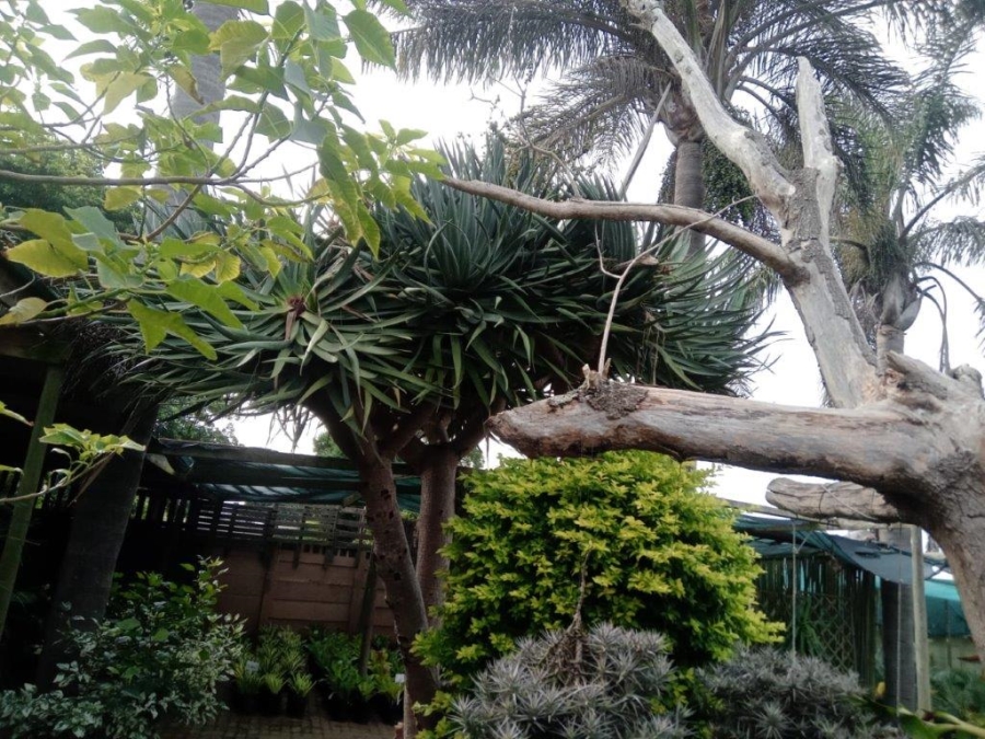 4 Bedroom Property for Sale in C Place Eastern Cape